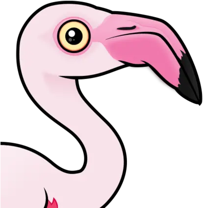 Cute Greater Flamingo By Birdorable U003c Meet The Birds Flamingo Birdorable Png Flamingo Png