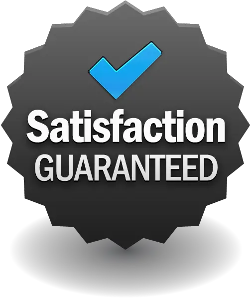 Satisfaction Guaranteed Pawn South Pinball Construction Set Png Satisfaction Guaranteed Logo