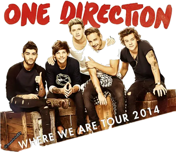 One Direction 1d Harry Styles Zayn Malik Niall Horan Liam Payne Louis Tomlinson Sticker One Direction Png Liam Payne Twitter Icon