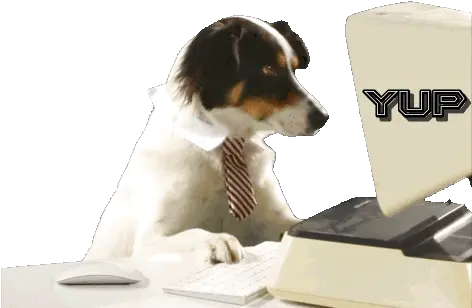 Yup Office Dog Gif Yup Officedog Agreeingdog Discover U0026 Share Gifs Treeing Walker Coonhound Png Snoop Dogg Gif Transparent