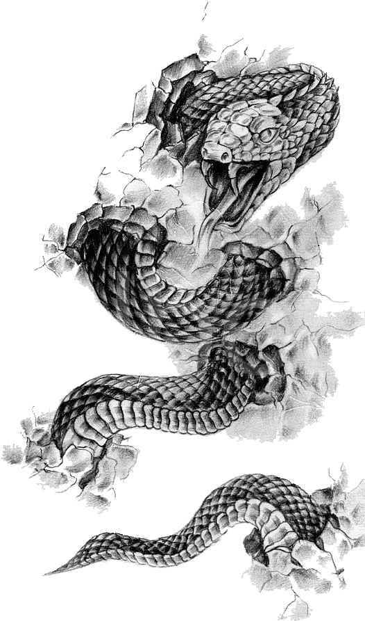 Rattlesnake Tattoo Flash Black Andgray Snake Png Download Snake Tattoo Png Tattoo Png Tumblr