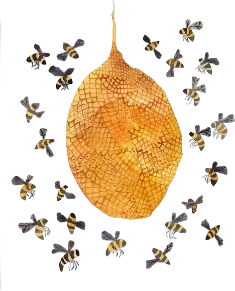 Download Honey Bee Hives Bees Png Hive