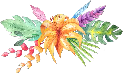 Download Tropical Watercolor Png Tropical Flower Tropical Flowers Png