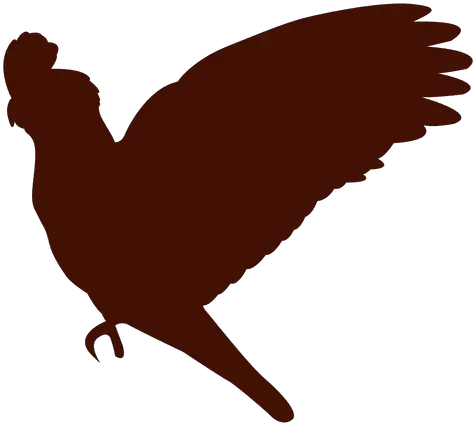 Birds Flying Silhouette Png Images Free Transparent U2013 Flying Cockatoo Silhouette Birds Flying Png
