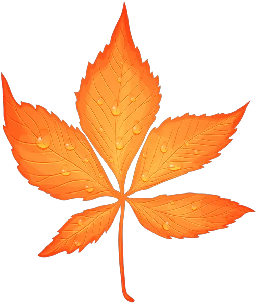 Autumn Leaf With Dew Drops Transparent Png Clip Art Image Fall Leaf Transparent Background Fall Png Images