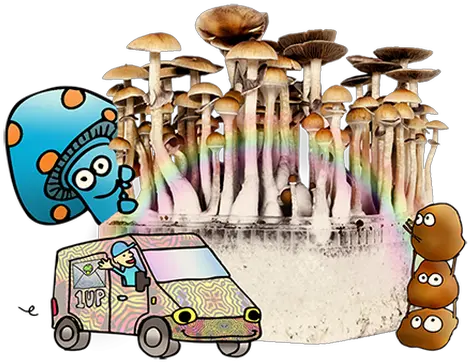 Download Magic Mushrooms Delivery Buy Magic Mushrooms Can I Buy Magic Mushrooms Png Mushrooms Png