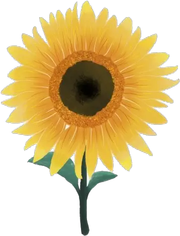 Download Free Png Aesthetic Sunflower Pic Dlpngcom Engine Gear Sun Flower Png