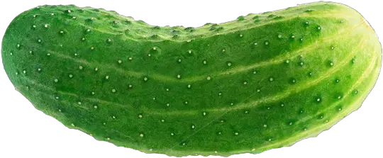 Cucumber Png Transparent Images Cucumbers West Bengal Cucumber Transparent