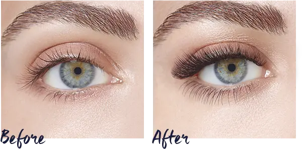 Nouveau Lashes The Beauty Rooms At The Nibblers U2014 The Extension Lashes 1 1 Png Lashes Png