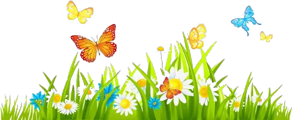 Free Spring Png Transparent Images Flowers With Butterfly Clipart Spring Png