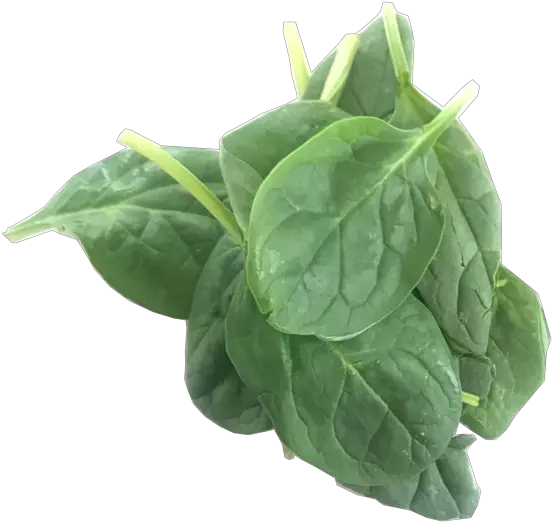 Spinach Transparent Png Image Baby Spinach Png Spinach Png