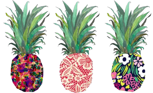 Png Tumblr Transparent Donut Pineapple Desktop Backgrounds Pineapple Transparent
