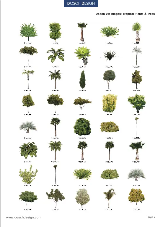 Dosch Design Dosch 2d Vizimages Tropical Plants U0026 Trees Teasel Png Bushes Transparent