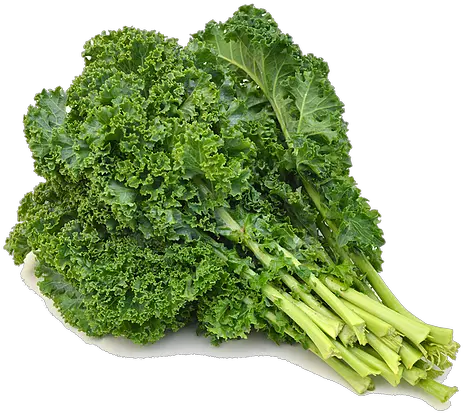 Green Kale Kale Curly Png Kale Png