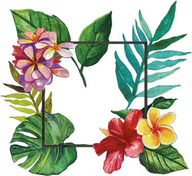 Download Hd Tropical Frame Floral Decal Marcos Tropical Png Tropical Png