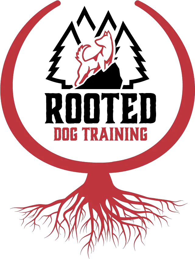 Ontario Dog Obedience Training That Gets Real Results Silueta Arbol Con Raiz Dibujo Png Gabe The Dog Png