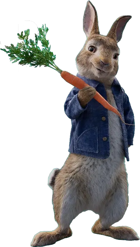 Peter Rabbit Png Picture Peter Rabbit Movie Characters Peter Rabbit Png