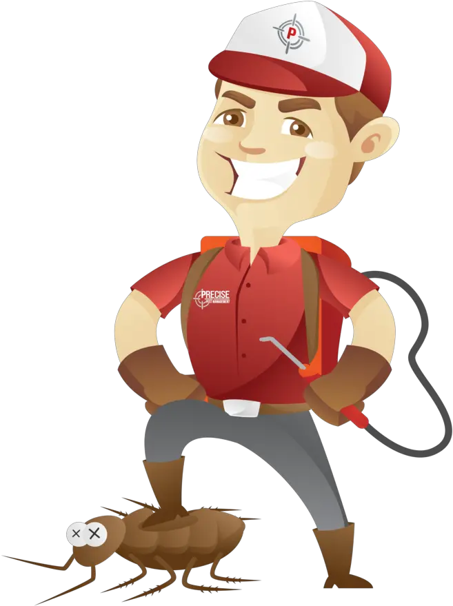 Pest Png Roach 3 Pest Control Rat Vector 2009072 Vippng Cartoon Vector Pest Control Roach Png