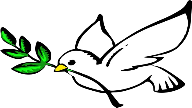 A Religion Of Love And Peace Dove Clipart Png Islam Transparent
