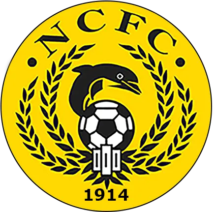 Shire Announce 1st Pre Season Friendly For 201920 East Nairn County Fc Png Friday The 13th Game Logo