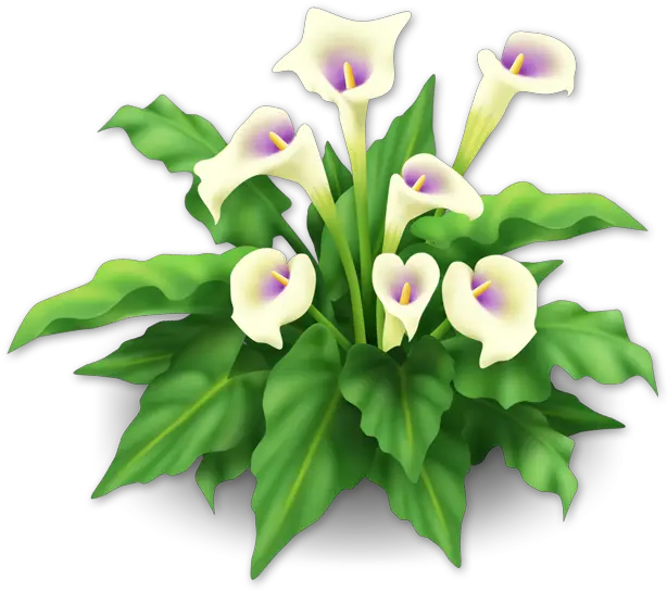 Download Free Png Image Hay Day Lily Lilies Png