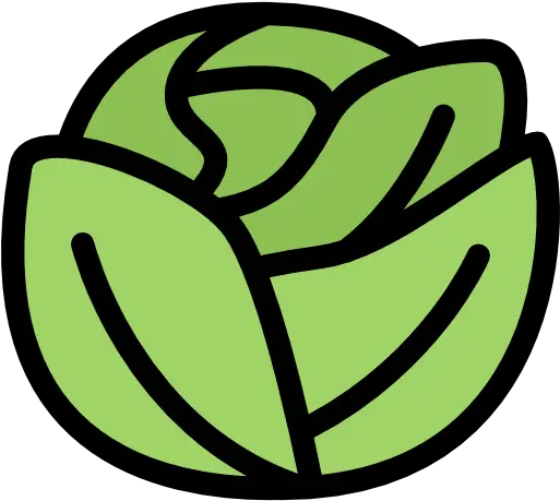 Cabbage Free Food Icons Cabbage Icon Png Cabbage Png