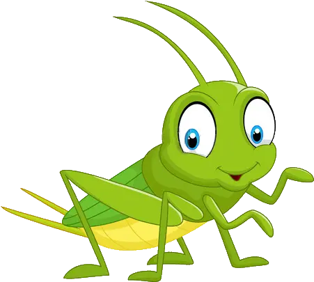 Cartoon Grasshopper 28 Green Grasshopper Clipart Png Grasshopper Png