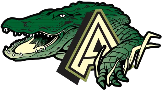 Alligator Alley Alligators Logo Png Gator Png