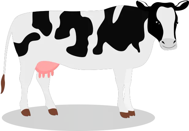 Png Background Cow Transparent Background Clipart Cow Transparent