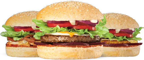 Burger Png Image 3