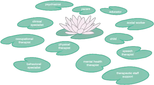 Lilypad U2014 Gabriela Marcu Diagram Of A Lilypad Png Lily Pad Png