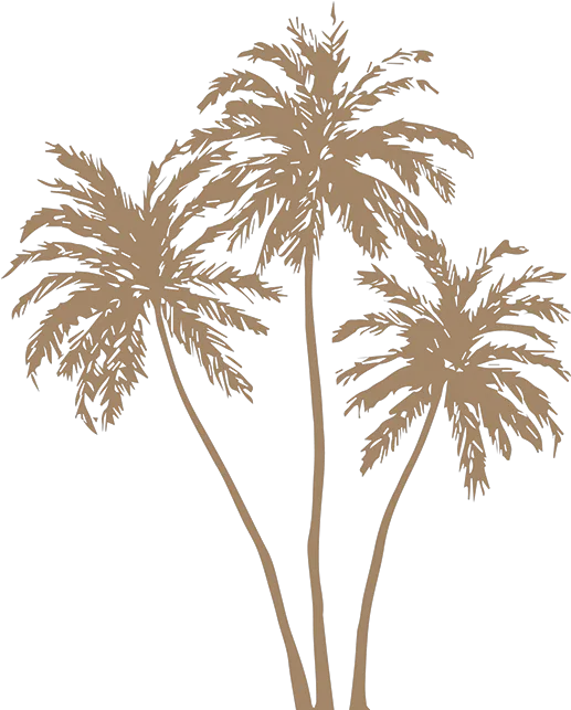 Gold Palm Leaves Png Image Free Stock Gold Palm Leaves Png Palm Tree Leaves Png