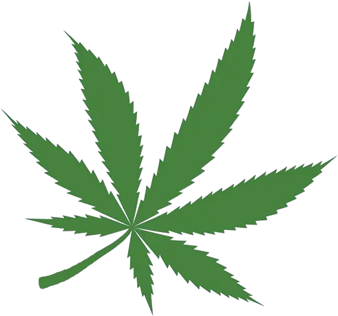 Legal Hemp Puts Pressure Cannabis Leaf Png Weed Png