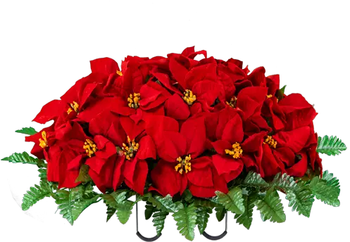 Red Poinsettia Saddle Poinsettia Png Poinsettia Png