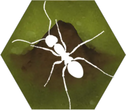 Download Finally Ants Apk For Android Ant Png Ants Png
