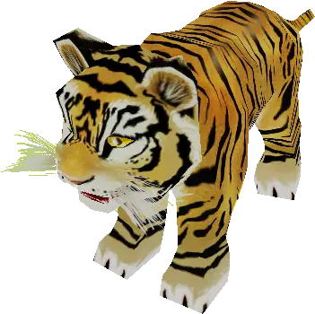 Pc Computer Zoo Tycoon 2 Bengal Tiger Cub The Models Tiger Zoo Tycoon 2 Png Bengal Tiger Icon