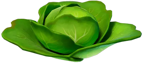 Cabbage Fortnite Loot U2022 Statsnite Png Icon