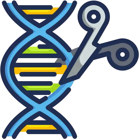 Genetic Engineering Genetic Engineering Icon Png Engineering Png