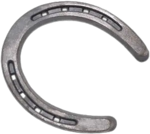 Classic Horseshoe Transparent Png Real Horse Shoe Horseshoe Horseshoe Transparent