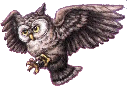 Download Harry Potter Png Image Clipart Free Great Grey Owl Harry Potter Png