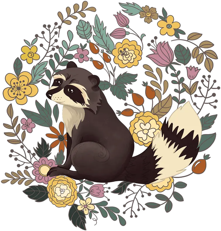 Pin Illustration Png Raccoon Transparent