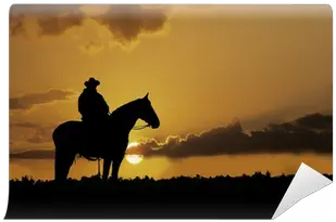 Cowboy Silhouette Wall Mural U2022 Pixers We Live To Change Vaqueras Frases De Caballos En Inglws Png Cowboy Silhouette Png