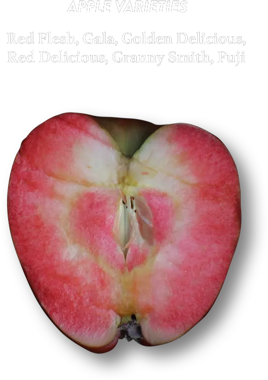 Rose French Red Flesh Apples Png Angry Orchard Logo