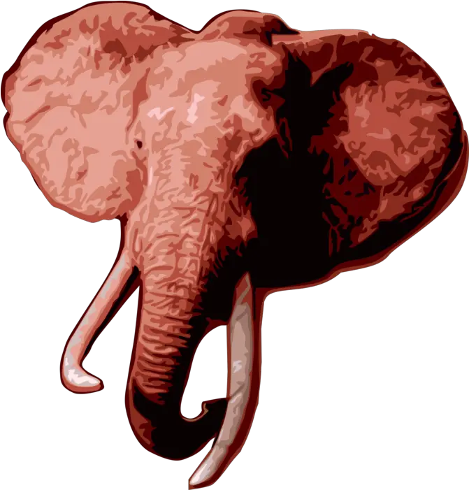 African Elephant Head Png Elephant Head Png