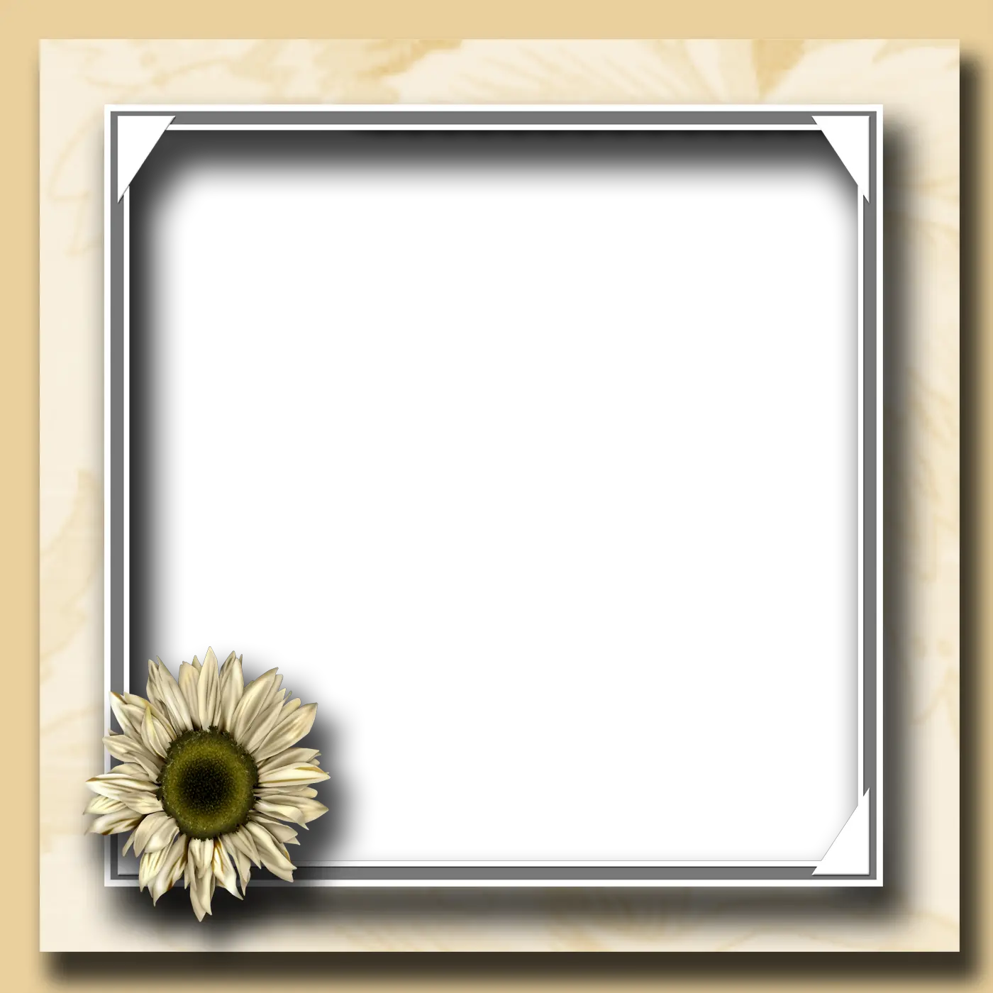 Frame Black And White Png