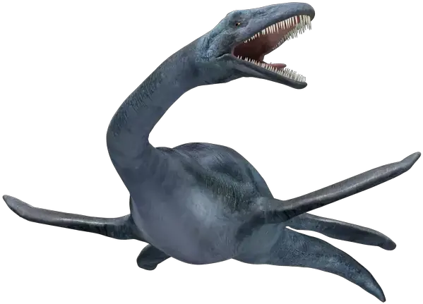 Loch Ness Monster Png 7 Image Loch Ness Monster Png Ness Png