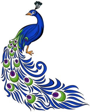Feather Drawing Png Images Peacock Png Feather Drawing Png