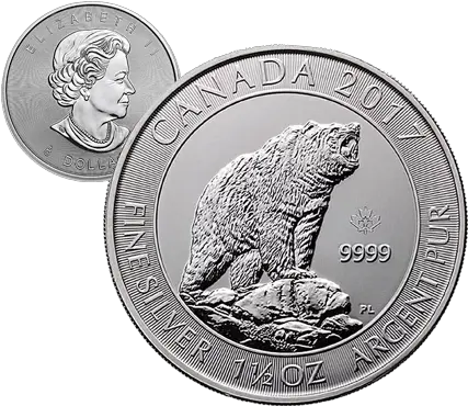 Silver Canadian Grizzly Bear Remington Gold Png Grizzly Bear Png