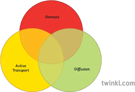 Venn Diagram Science Ks3 Ks4 Illustration Twinkl Venn Diagram Ks3 Png Venn Diagram Png