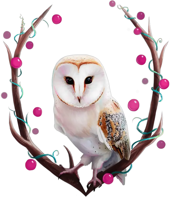 Download Owl By Tanya Bosyk Paper Barn Owl Png Barn Owl Icon